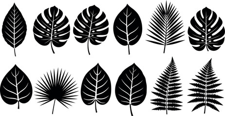 Vector art of set of various black tropical leaf silhouettes, isolated on white background transparent background