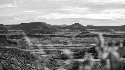 Desert Spann blank and white