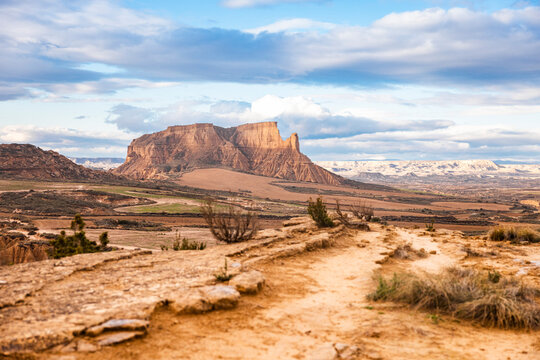 Desert hiking path