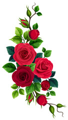 Red roses bouquet. Floral design element with red rose flowers and green leaves isolated on a white background. Vector illustration