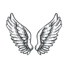 Fototapeta premium Angelic wings design for spiritual themes and artistic projects