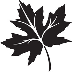 Oriental plane chinar leaf vector icon black and white
