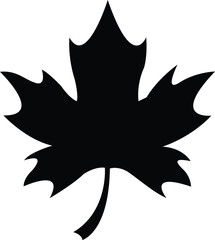 Oriental plane chinar leaf vector icon black and white
