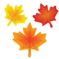 Autumn Maple Leaves Set – Colorful Fall Foliage Vector Illustration, 
A beautiful set of colorful maple leaves in autumn shades. Ideal for seasonal decorations, greeting cards, scrapbooking,