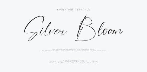 Silver Bloom, Hand drawn vector alphabet. Modern monoline signature script font. Elegant Signature Font. Best Alphabet Beautiful Calligraphy Signature Font. vector illustration   © Sauvage
