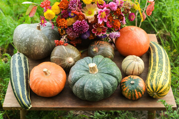 Autumn harvest of different pumpkins vegetables with beautiful fall flowers autumnal bouquet in garden close-up. Harvesting organic pumpkin vegetable