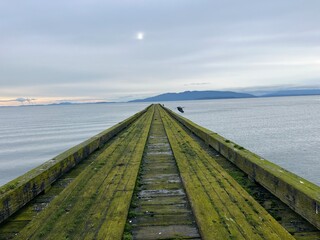 wooden bridge over the sea