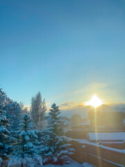 Winter sunrise over snowy trees in backyard