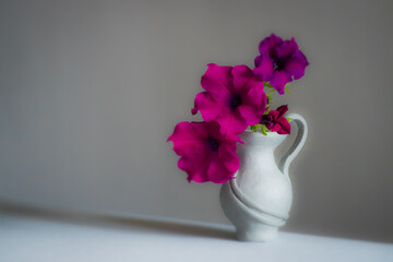 Beautiful background with pink petunias in the vase; Petunia Grandiflora	
