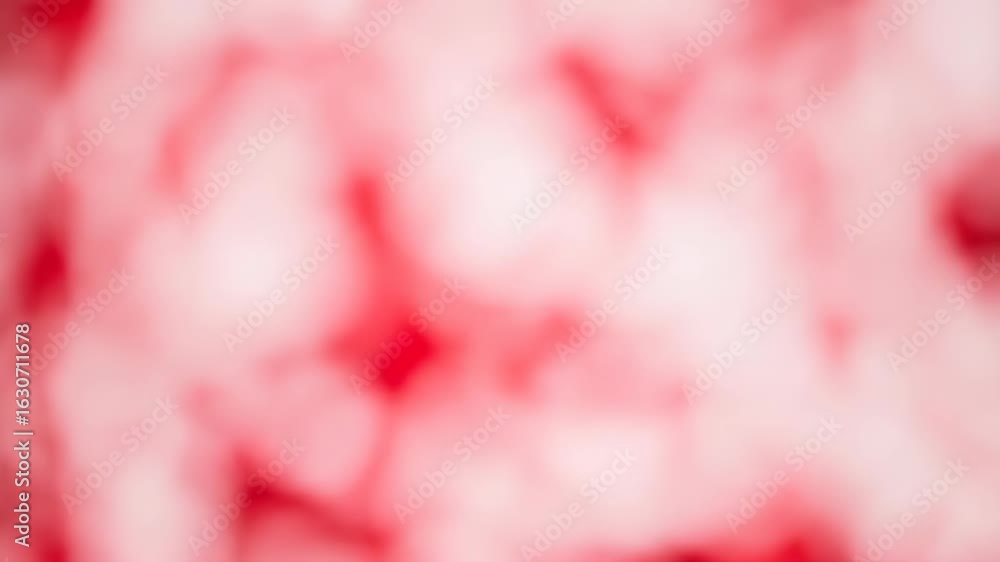 Poster abstract red and pink out of focus circles background design element