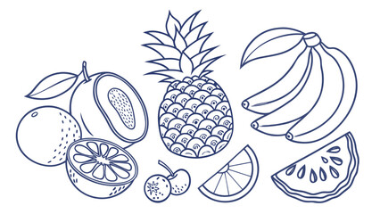 Hand-Drawn Fruit Sketch Vector Collection, Blue Ink Line Art of Tropical and Citrus Fruits for Organic Food, Kitchen Decor, and Packaging Design