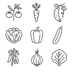 Vegetable Garden Icons. Line style icons of Vegetable Garden Staples: tomato vine, carrot root, cucumber vine, lettuce head,
