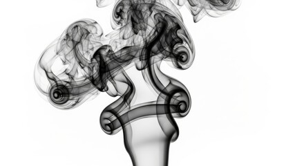 Elegant Swirls of Black Smoke Flowing from a Clear Glass Vase