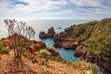 Fototapeta premium ocean side