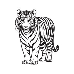 Fototapeta premium Standing Tiger Vector Illustration - Wild Jungle Animal EPS Design