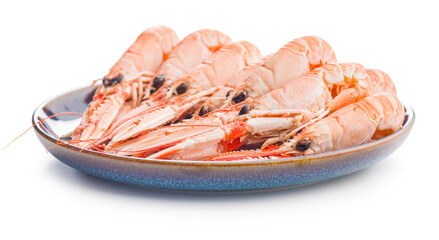 Scampi langoustine on plate isolated on white background.