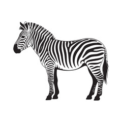 Zebra Vector Silhouette - Wild African Animal EPS Design