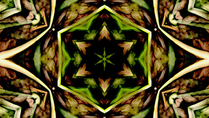 Abstract image of blurred green, brown and black color fractal kaleidoscope pattern with symmetric flower shape