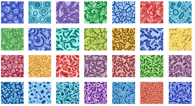 Varied and vibrant microbiological patterns creating an abstract, colorful collage
