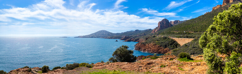 woody plant tropical and subtropical coniferous forests europe leaf vegetation © Markus Rieder