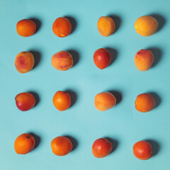 Scattered fresh apricots on pastel blue background. Minimalist summer concept with vibrant colors....