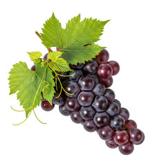 Fototapeta premium Fresh bunch of dark purple grapes with green leaves