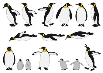 コウテイペンギンの色々なポーズのイラストのセット_主線あり
