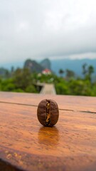 Coffee bean on wooden table, mountain view