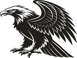 bald eagle vector