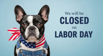 Adorable boston terrier dog wearing a patriotic bandana and overalls announcing business closure for labor day