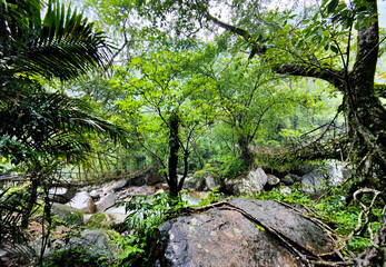 A waterfall with mountains in Meghalaya. 