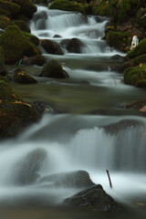 渓流と苔むした岩