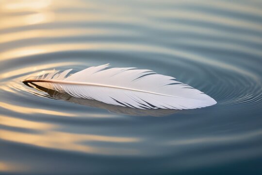 Close-up of a white feather floating on calm water with soft ripples and copy space. Perfect for wellness, mindfulness, spa, nature themes, advertising, book covers, inspirational design, packaging - Powered by Adobe