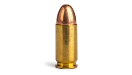 Ammunition cartridge