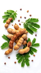 Dried Tamarind Pods with Leaves (1)