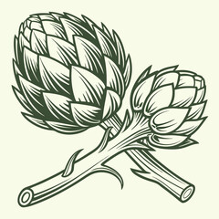 Artichoke illustration on a clean white background