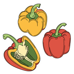 Vibrant bell peppers illustration on a clean white background