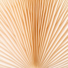 Abstract View of Mushroom Gills in Soft Beige Tone Macro Close Up
