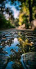 Fototapeta premium Cobblestone path puddle reflection, autumn park