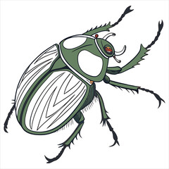 beetle-vector