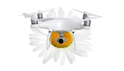 Drone hovering over daisy