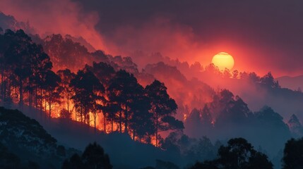 Vivid sunset over forest fire illuminating smoke and flames in a dramatic landscape