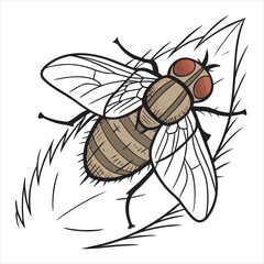 botfly-vector