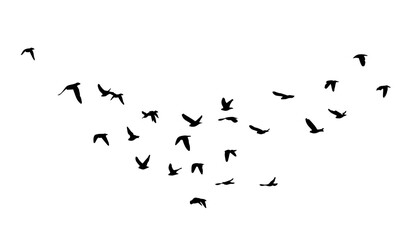 Flying birds silhouette flock. hand drawing. Not AI. Vector illustration.