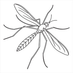 crane-fly-vector