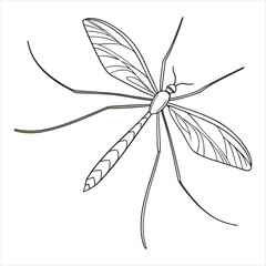 crane-fly-vector