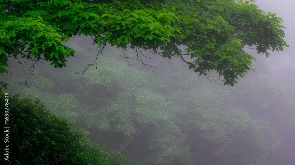 Poster lush green foliage with vibrant leaves is partially obscured by a soft mist, creating an ethereal at