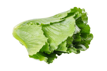 Whole head of fresh green ramen salad, lettuce isolated on white, transparent background. Clean and...