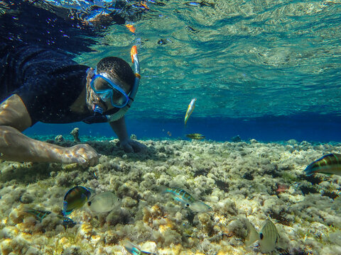 Young man wearing goggles ( mask ) swimming and diving underwater with fishes enjoying summer vacation in the Mediterranean Sea, sports activity concept, Scuba snorkeling in barrier reef sea ocean.