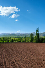 Plowed field with mountain view. Agricultural field stretches out toward distant snow-capped mountains. Showcasing the beauty of agricultural landscapes.